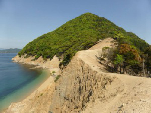 瀬戸内海の無人島:ありが島と名付けた